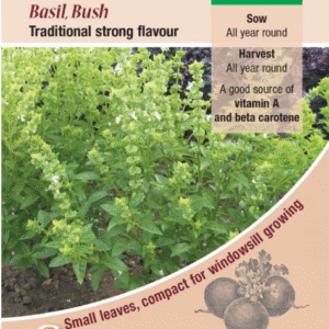 Kings Seeds Basil Bush 500 Seeds