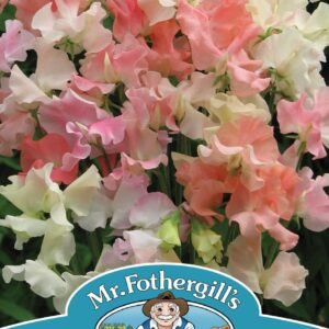 Mr Fothergills - Flower - Sweet Pea - Frills & Blushes - 25 Seeds