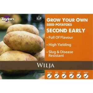 Taylors - Seed Potatoes - Wilja- 10 Tubers - Second Early