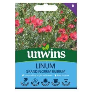 Unwins Flower Linum grandiflorum rubrum - 500 Seeds