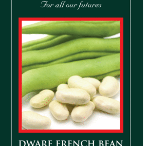 Suffolk Herbs  Organic Dwarf French Bean Cannellino 100 Seed