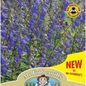 Mr Fothergills - Wild Flower - Bellflower  - 250 Seeds