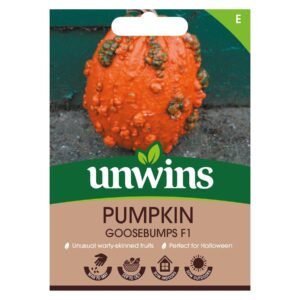 Unwins Vegetable Pumpkin Goosebumps F1 Hybrid - 8 Seeds