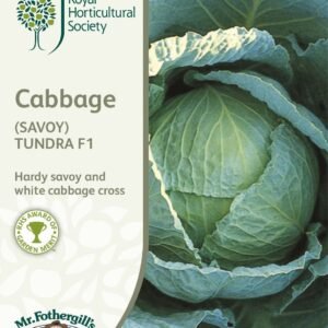 Mr Fothergills RHS Cabbage (Savoy) Tundra F1 50 Seeds