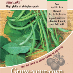 Kings Seeds Climbing French Bean Blue Lake 125 Seeds