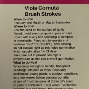 Kings Seeds Viola Brush Strokes 50 Seed