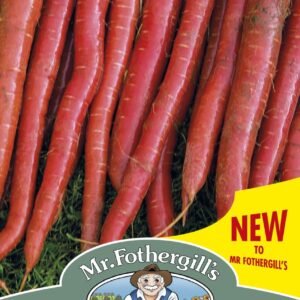 Mr Fothergills Carrot Malbec F1 - 350 Seeds