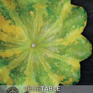 Thompson & Morgan Kew Vegetable Patty Pan Squash Green Disc F1 - 25 Seeds