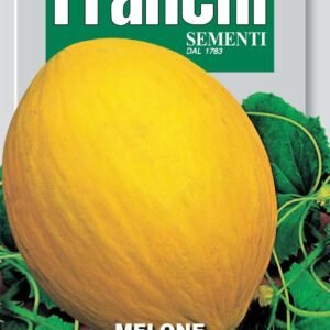 Franchi Seeds of Italy Melon Giallo Da Inverno 3 - Seeds