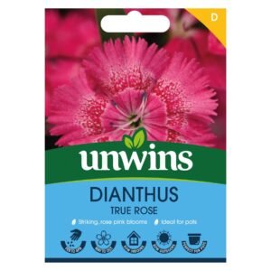 Unwins Flower Dianthus True Rose - 20 Seeds
