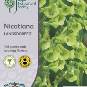 Mr Fothergills RHS Nicotiana Langsdorffii 750 Seeds