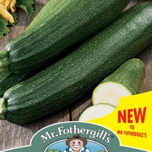 Mr Fothergills - Vegetable - Courgette - Blackstar F1 - 10 Seeds