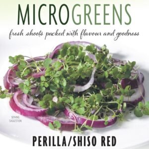 Thompson & Morgan Vegetable Microgreens Perilla/Shiso Red  - 250 Seeds