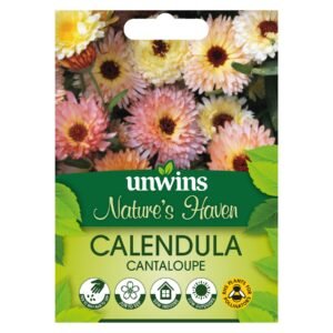 Unwins Flower Calendula Cantaloupe - 100 Seeds