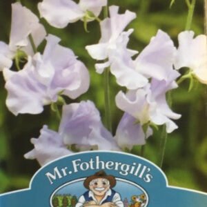 Mr Fothergills Sweet Pea Charlies Angel 20 Seeds