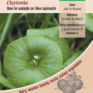 Kings Seeds Salad Leaf Claytonia (Miners Lettuce) 325 Seeds