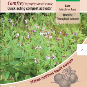 Kings Seeds Herb Comfrey Seeds