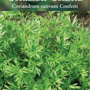 Suffolk Herbs Coriander Confetti 100 Seed