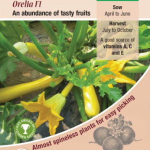 Kings Seeds Courgette Orelia F1 - 10 Seeds
