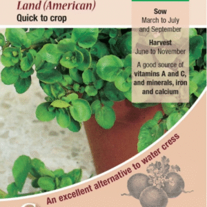 Kings Seeds Cress American Land 1500 Seeds