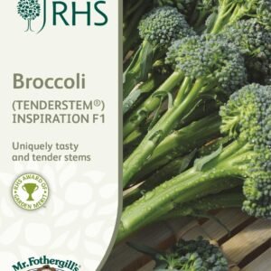 Mr Fothergills - RHS - Vegetable - Broccoli - Inspiration F1 (Tenderstem) - 20 Seeds