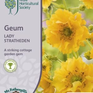 Mr Fothergills RHS Geum Lady Stratheden 50 Seeds