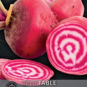 Thompson & Morgan Kew Vegetable Beetroot 'Chioggia'  - 50 Seeds