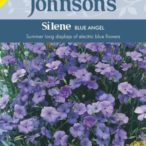 Johnsons Silene- Blue Angel 1000 Seeds