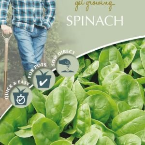 Mr Fothergills - David Domoney - Vegetable - Spinach - Emilia F1 - 300 Seeds