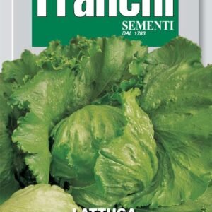 Franchi Seeds of Italy Lettuce Great Lakes 118 - Seeds