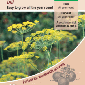 Kings Seeds Herb Dill 500 Seeds