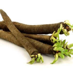 Scorzonera Black Salsify Duplex Seeds
