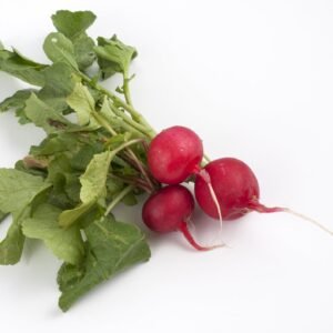 Organic Radish Giant of Sicily Seeds