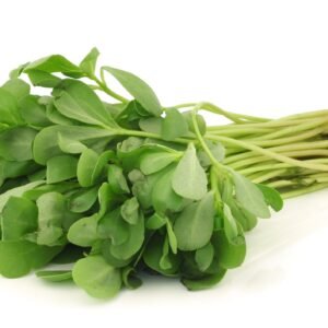 Suffolk Herbs Purslane Green 750 Seed