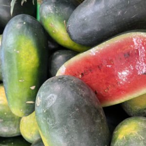 Watermelon Charleston Gray Seeds