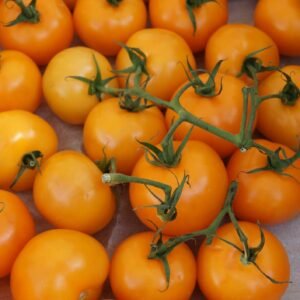 Tomato Golden Crown Seeds