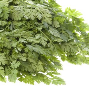 Organic Herb Chervil Curled Seeds