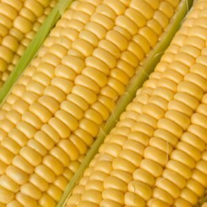 Sweet Corn Goldcrest F1 Hybrid Seeds