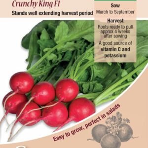 Kings Seeds  Radish Crunchy King F1 Seeds