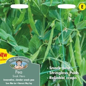Mr Fothergills - Vegetable - Pea - Snak Hero (Snap) - 150 Seeds