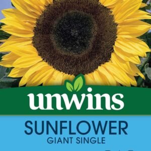 Unwins Sunflower Giant Single 45 Seeds