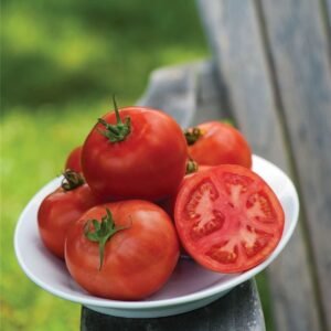 Tomato Early Pick Seeds