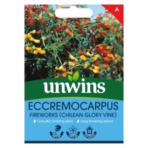 Unwins Flower Eccremocarpus Fireworks (Chilean Glory Vine) - 30 Seeds