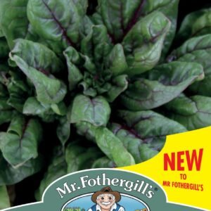 Mr Fothergills - Vegetable - Spinach - Rubino F1 - 300 Seeds