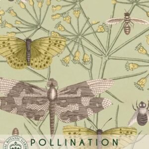 Thompson & Morgan Kew Pollinators Vegetable Fennel - 250 Seeds