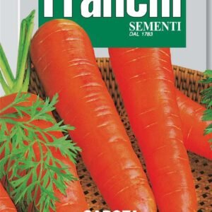 Franchi Seeds of Italy Carrot Flakkee 2 - Seeds