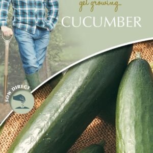 Mr Fothergills - David Domoney - Vegetable - Cucumber - La Diva - 10 Seeds