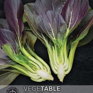 Thompson & Morgan Kew Vegetable Pak Choi, Purple Rain F1 - 250 Seeds