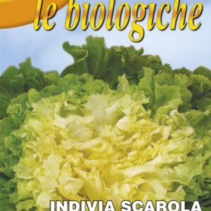 Franchi Organic BIOB121/2 Escarole Bionda CP Seeds