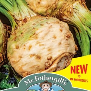 Mr Fothergills - Vegetable - Celeriac - Neon F1 - 250 Seeds